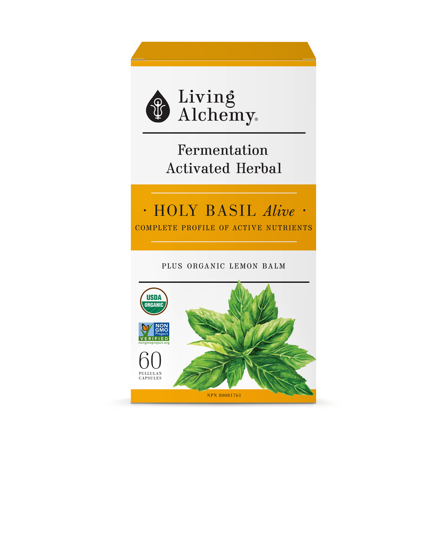 Your Flora: HOLY BASIL ALIVE by Living Alchemy