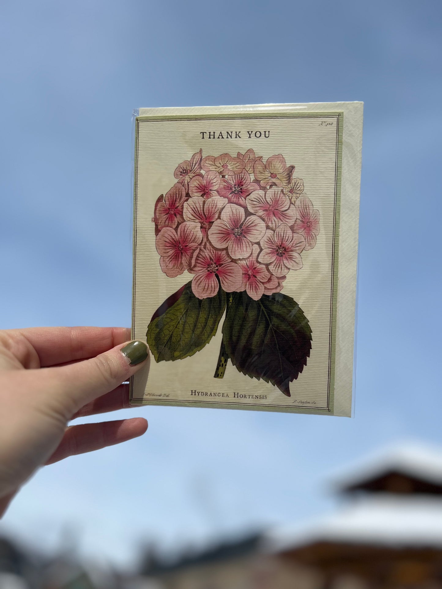 Vintage Print Greeting Cards