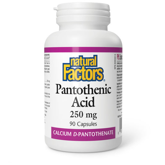 NATURAL FACTORS PANTOTHENIC ACID 90C