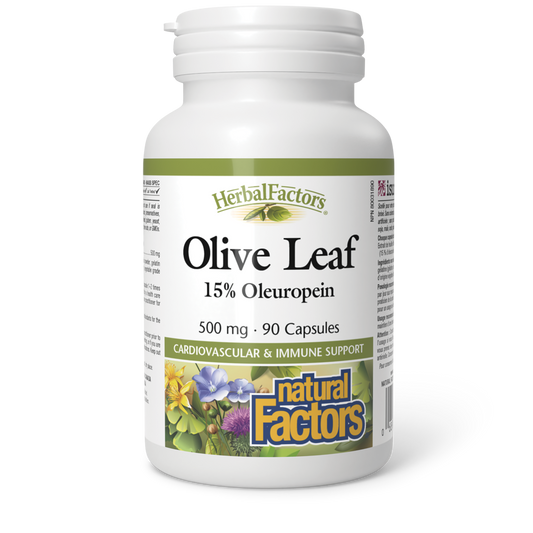 NATURAL FACTORS OLIVE LEAF 90CAPS